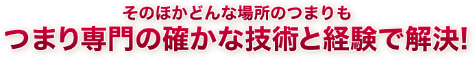 そのほかどんな場所のつまりもつまり専門の確かな技術と経験で解決!